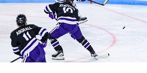 Niagara Purple Eagles at Holy Cross Crusaders Mens Hockey at Hart Center