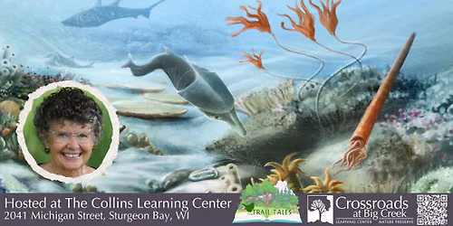 Talk: Silurian Seas