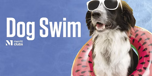 Dog Swim (Fort Avenue)