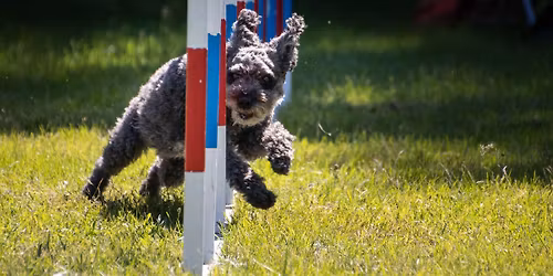 H\u00f6stbj\u00f6rken 2026