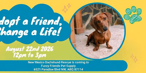 Adoption Event! New Mexico Dachshund Rescue @ Fuzzy Friends Pet Supply