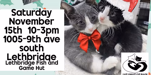 Last Chance Cat Ranch November Craft & Bake sale