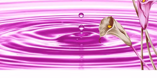 Mind Body Spirit Event.