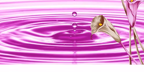 Mind Body Spirit Event.