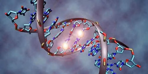 Epigenetic!