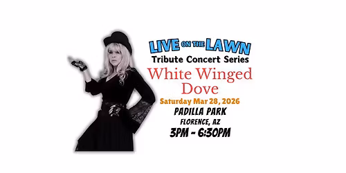 White Winged Dove - Live on the Lawn