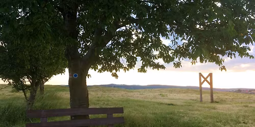 \u2744\ufe0f Winter TRAIL \ud83c\udfc3\u200d\u27a1\ufe0f P\u016flmaraton, 10 km a 2 km Rodinn\u00fd z\u00e1vod