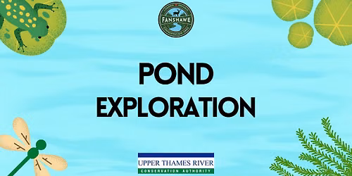 Pond Exploration