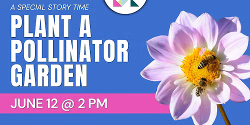 Plant a Pollinator Garden