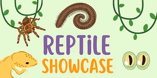 Reptile Showcase