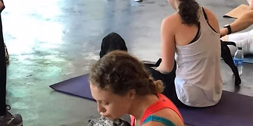 Doggy Noses & Yoga Poses at Crunch Fitness Parsippany