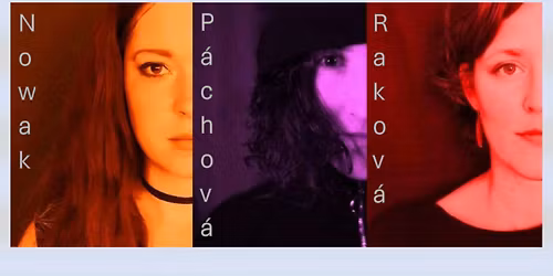 WHO'S CRAZY: Jim Black & The Schrimps \/\/ Nowak-P\u00e1chov\u00e1-Rakov\u00e1