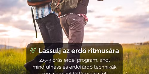 Lassulj az erd\u0151 ritmus\u00e1ra