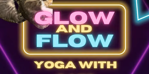 glow and flow yoga with cats!  with the traveling yogi