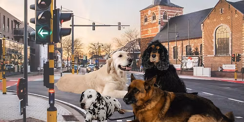 Kermtse Kwispeldag \ud83d\udc63\ud83d\udc3e