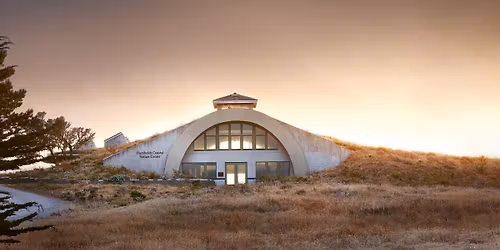 Winter Solstice Yoga