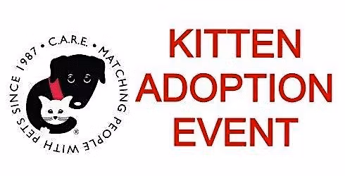 Pop-Up Adoption Event at Hollywood Feed Evanston