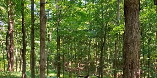 Wellness Hike - Smeck Park