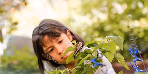 Sensory Friendly Morning