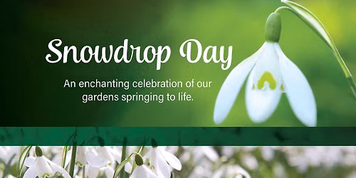 Snowdrop Day