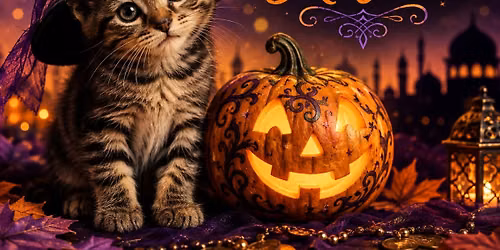 Nah'Joom Halloween Hafla