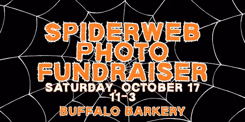 Spiderweb Photo Fundraiser