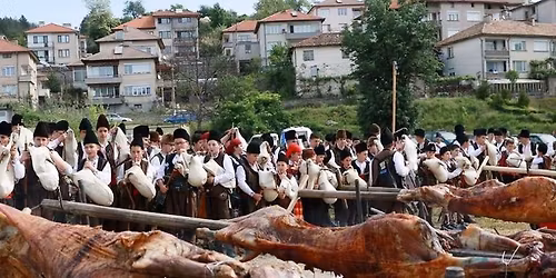 \u041f\u0440\u043e\u043b\u0435\u0442\u043d\u0430 \u0420\u043e\u0434\u043e\u043f\u0441\u043a\u0430 \u043f\u0440\u0438\u043a\u0430\u0437\u043a\u0430