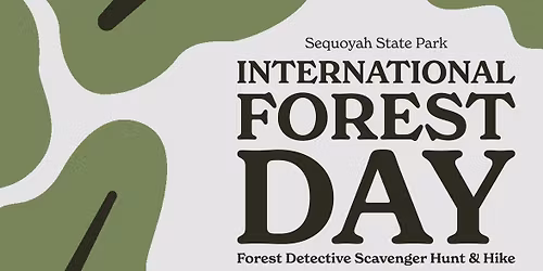 International Forest Day: Scavenger Hunt & Hike