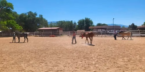 Invisible Halter Groundwork Class