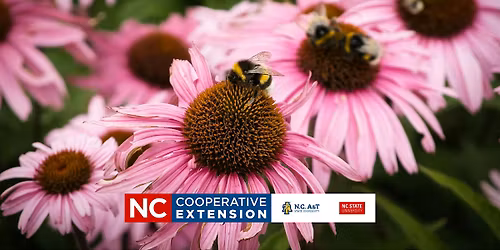 Chatham Mills "Pollinator Paradise" Tour