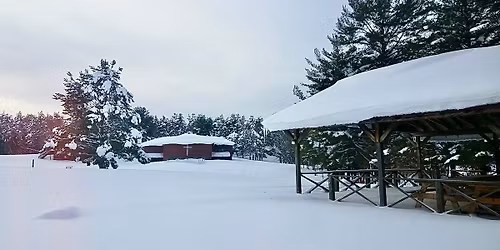 Festival of Trees at Aldersgate!