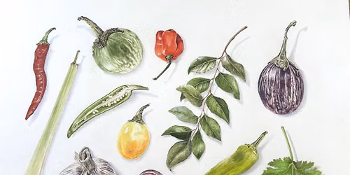 Vegetables and Spices in Coloured Pencil With Janie Pirie (Cambridge)