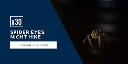 Spider Eyes Night Hike