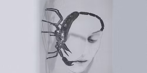 Tortoise at Aladdin Theater