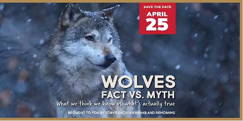 Wolves: Fact vs Myth