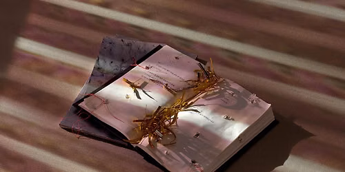 By the Book: Readings Inspired by Lotus L. Kang
