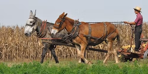 Top1worldwide Vendor