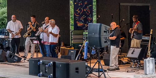 Concerts in the Park: Electric City Horns