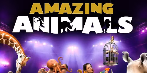 Amazing Animals
