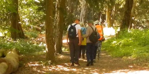 Going Strong! Get Walking Mondays at Nowton Park, Bury St Edmunds