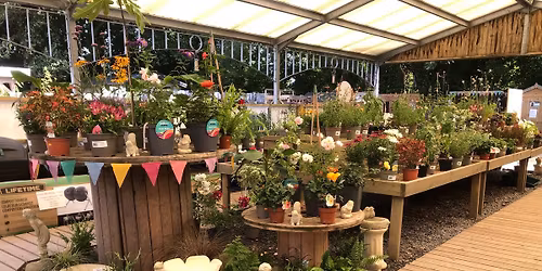 Christmas Opening Weekend - Hosted by Pure Garden Centre