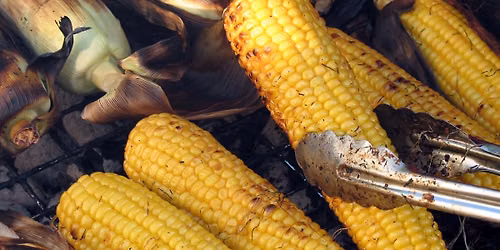 Corn Roast 2
