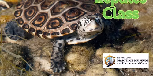 Maryland Reptiles Class