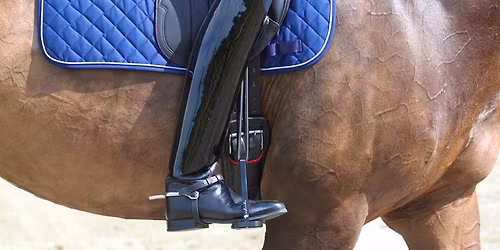 Dressage Training Day - May 23, 2026