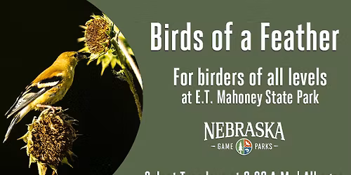 Birds of a Feather: Owls of Nebraska