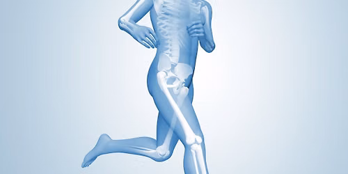 Gelenkbeschwerden von Kopf bis Fu\u00df, Arthrose - Ursachen, Diagnostik und Therapiem\u00f6glichkeiten