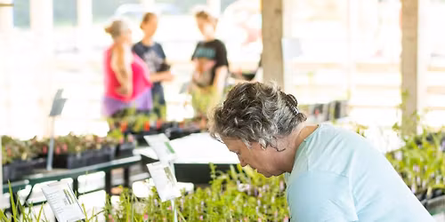 GBF's Fall Native Plant Sale