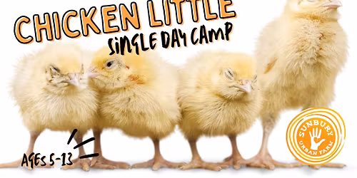 Single Day Camp - Chicken Little - Ages 5-13