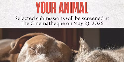Open Call | Mini Film Festival: A Visual Letter To Your Animal