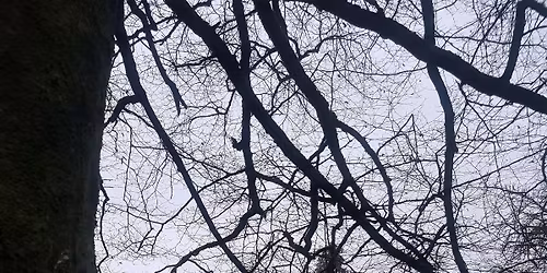 Closeburn Castle Ghost Hunt